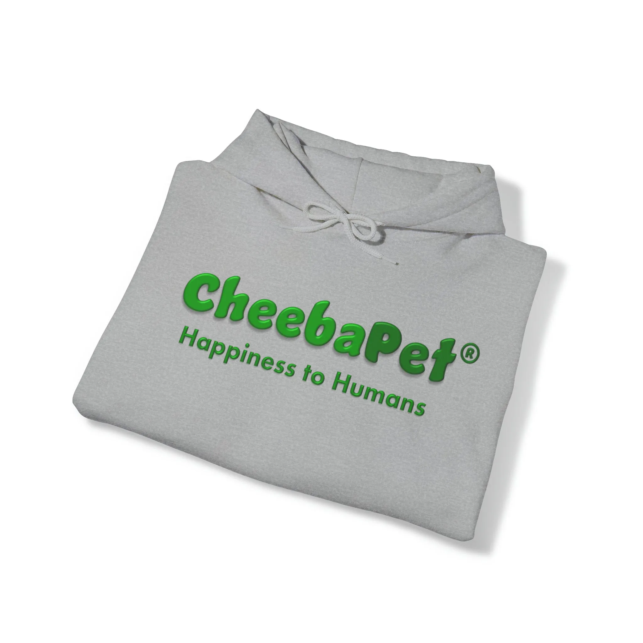 Hoodie Softstyle Unisex - NorthernLights