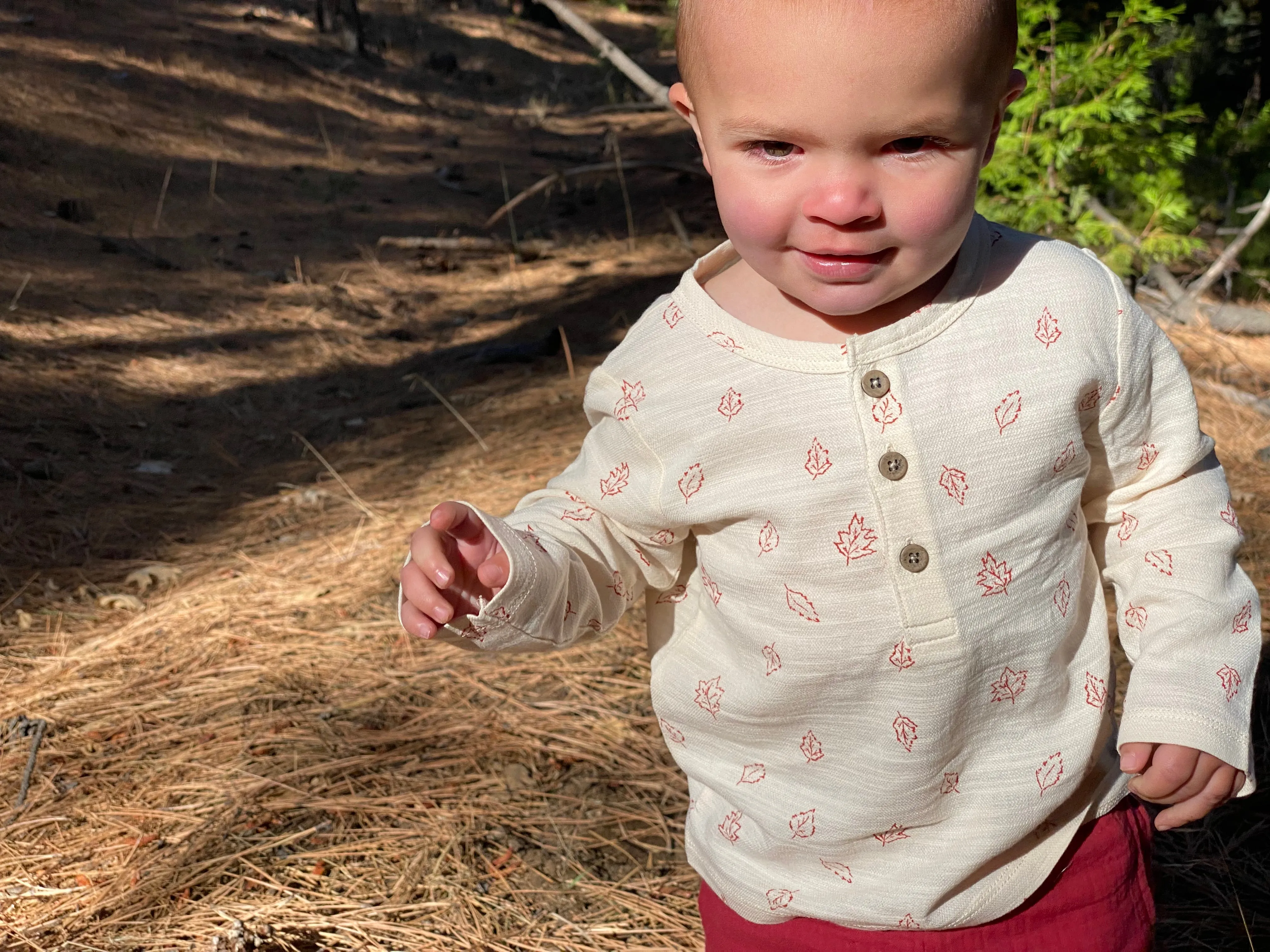 Jenken top in ivory leaves